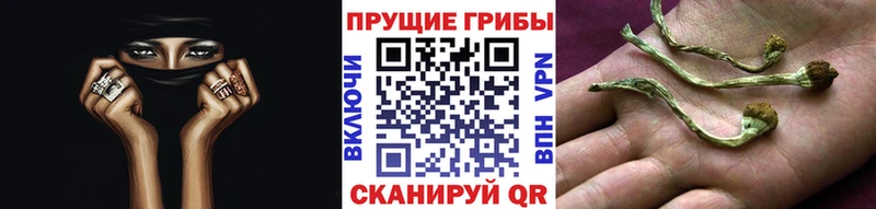 Галлюциногенные грибы прущие грибы Гусь-Хрустальный